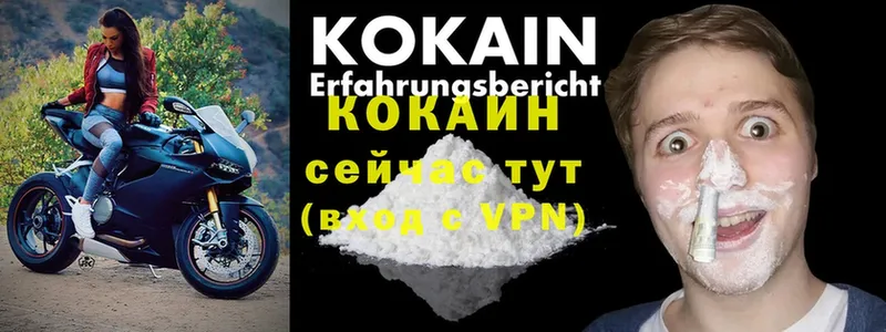 COCAIN VHQ  купить  сайты  Болхов 