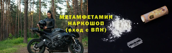 PSILOCYBIN Вяземский