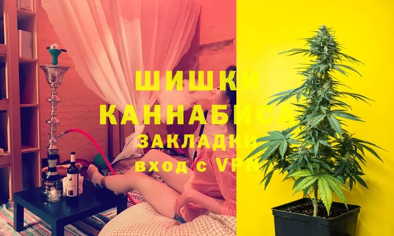 цена   Болхов  Бошки Шишки THC 21% 